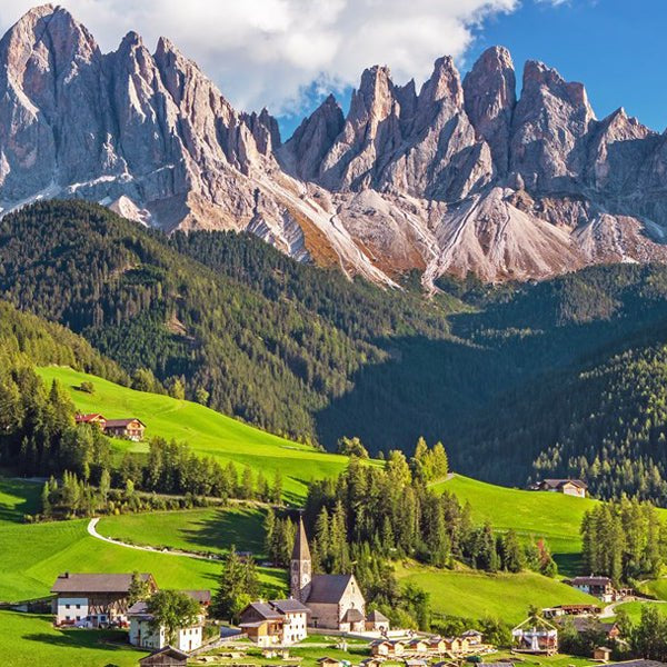 Nella's Rise to Success - Nella Online