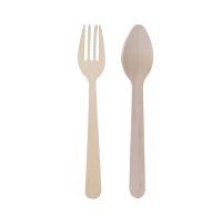 Disposable Flatware