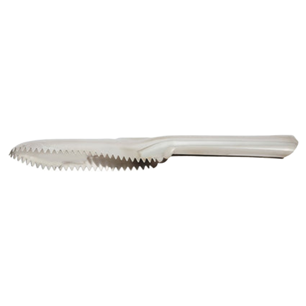 Fish Scaler