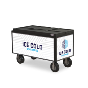 Ice Bin Merchandiser