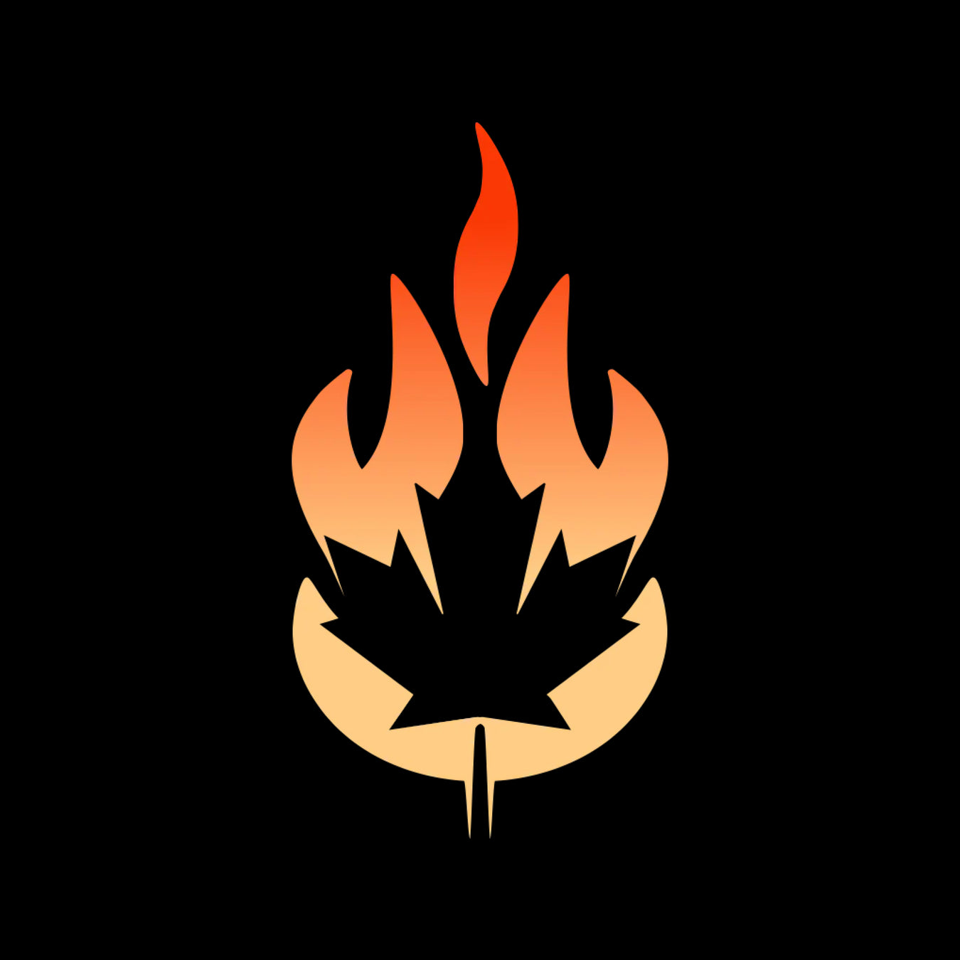 Luxury Fire