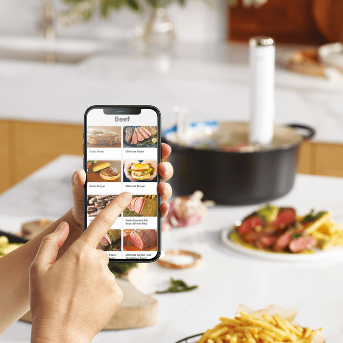 Breville BSV600PSS Joule Turbo Sous Vide