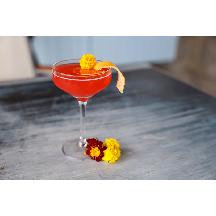 Arcoroc CA031 Chris Adam 6 Oz. Cocktail Glass - 24/Case