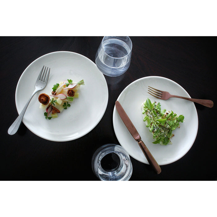 Arcoroc FM553 8.88" Eternity Plus White Ceramic Round Coupe Dinner Plate - 12/Case