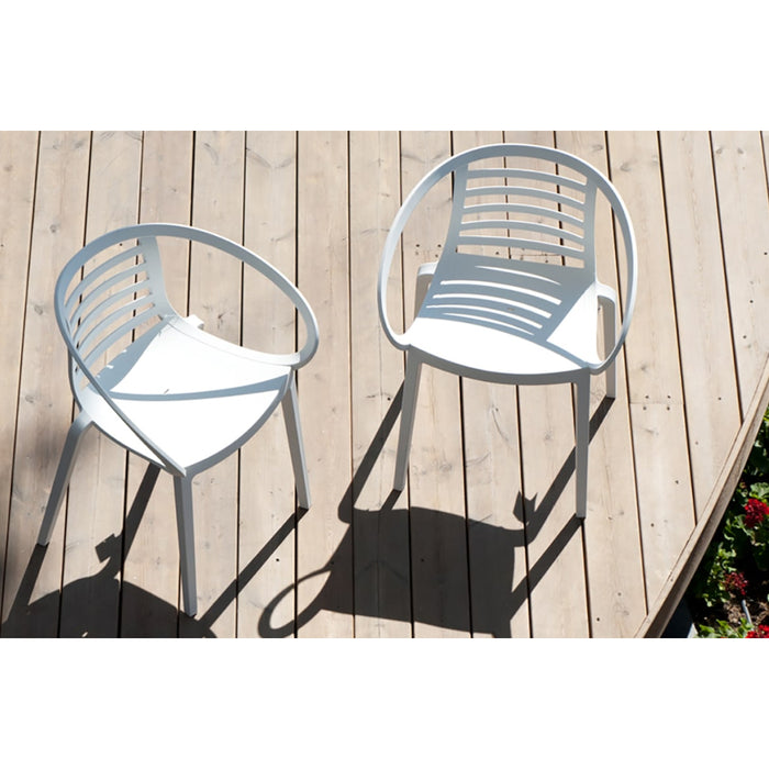 Papatya Mambo Arm Chair