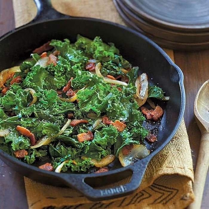 Lodge L8SK3INT 10.25" Cast Iron Skillet