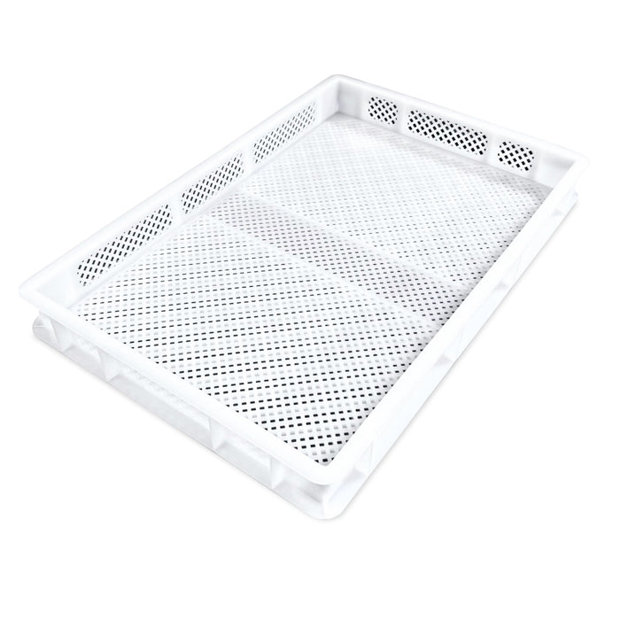Italiana Foodtech 23" x 15" x 2.75" Pasta Dough Container - P-6407/PASTA