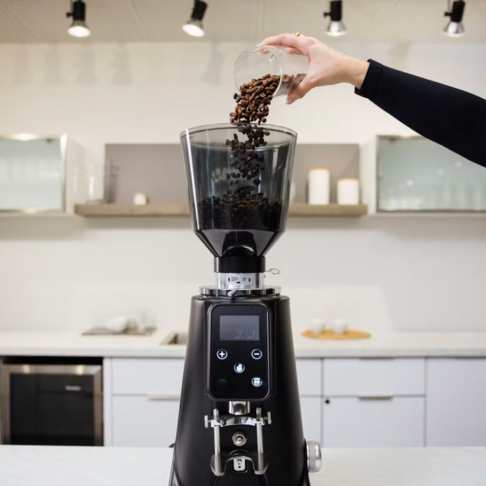 Bellucci Preciso 68 Commercial Coffee Grinder