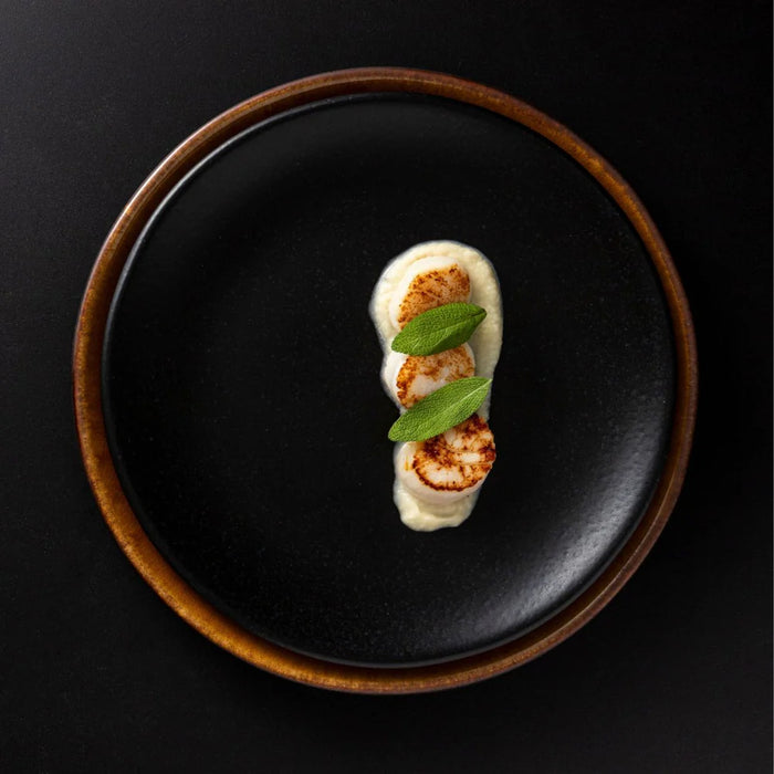 Costa Nova 10.9" Roda Black Round Coupe Stoneware Dinner Plate - 6/Case - RTP282-BLK