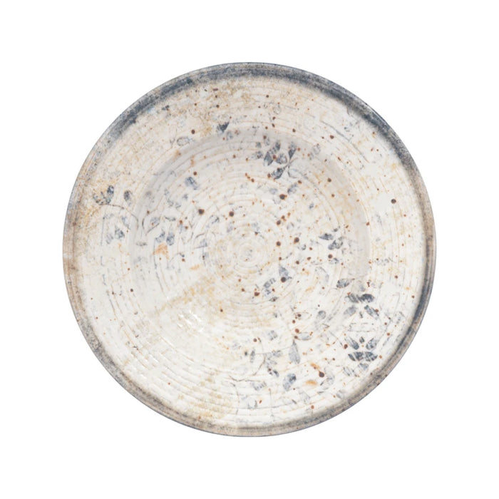 Ariane 10.25" Astral Round Porcelain Deep Plate - 6/Case - DPRARN04R012026