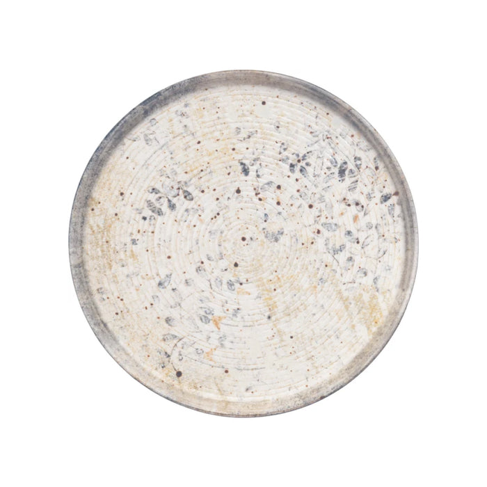 Ariane 9.75" Astral Round Porcelain Dinner Plate - 4/Case - DSEARN04RB11025