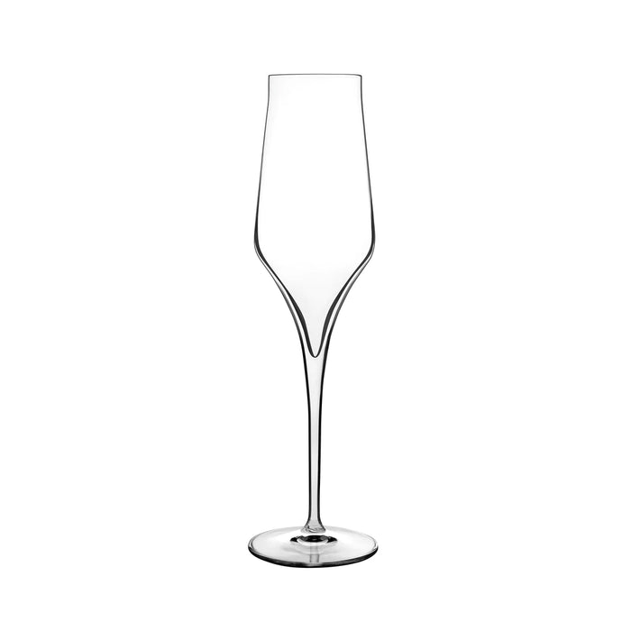 Supremo 8 Oz. Champagne Glass - Set of 2