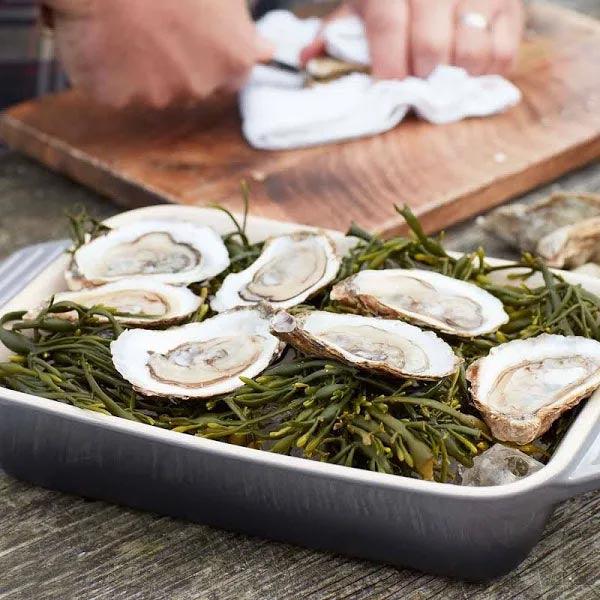 Le Creuset 4.9 L Rectangular Roaster -  LS2011-337F