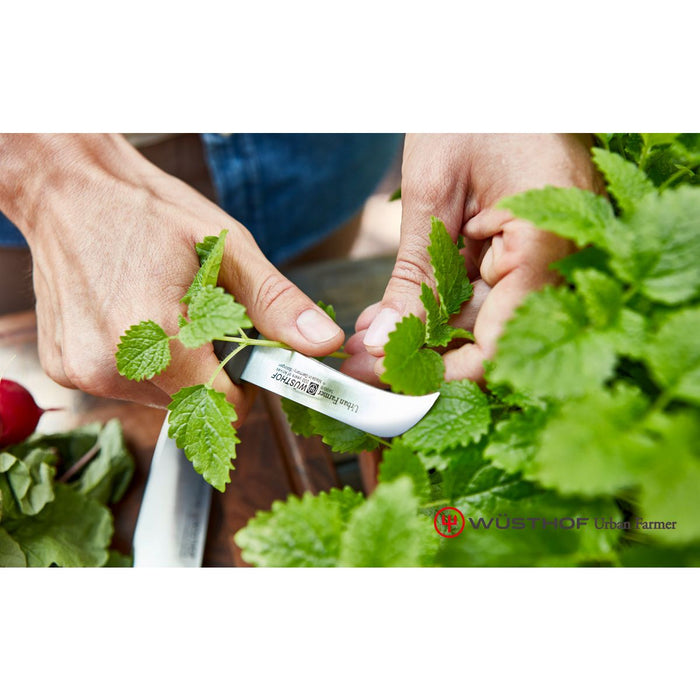 Wusthof Urban Farmer 3" Pruning Knife - 1025247808